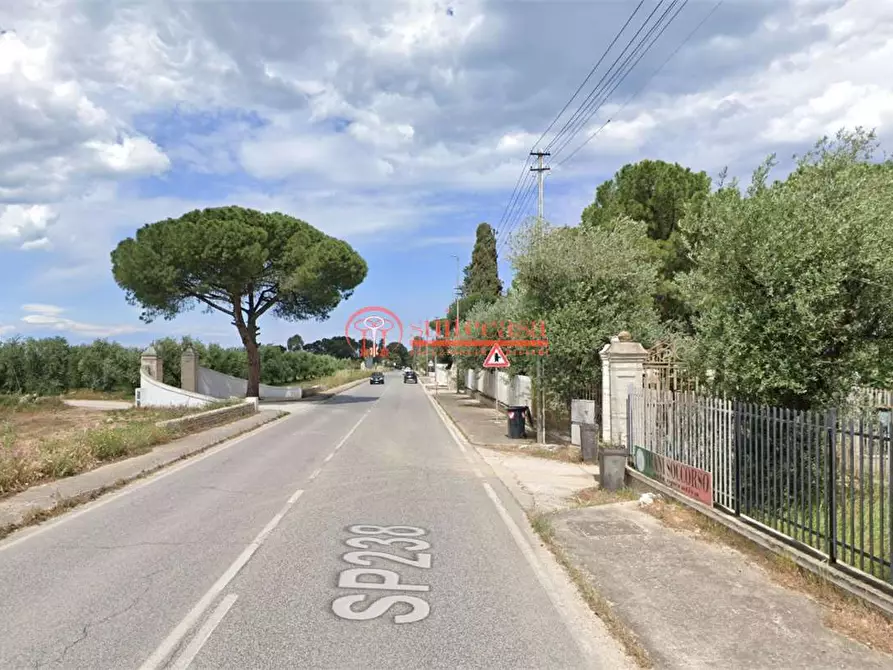 Immagine 4 di Villa in vendita  in via Annibale Maria di Francia a Trani