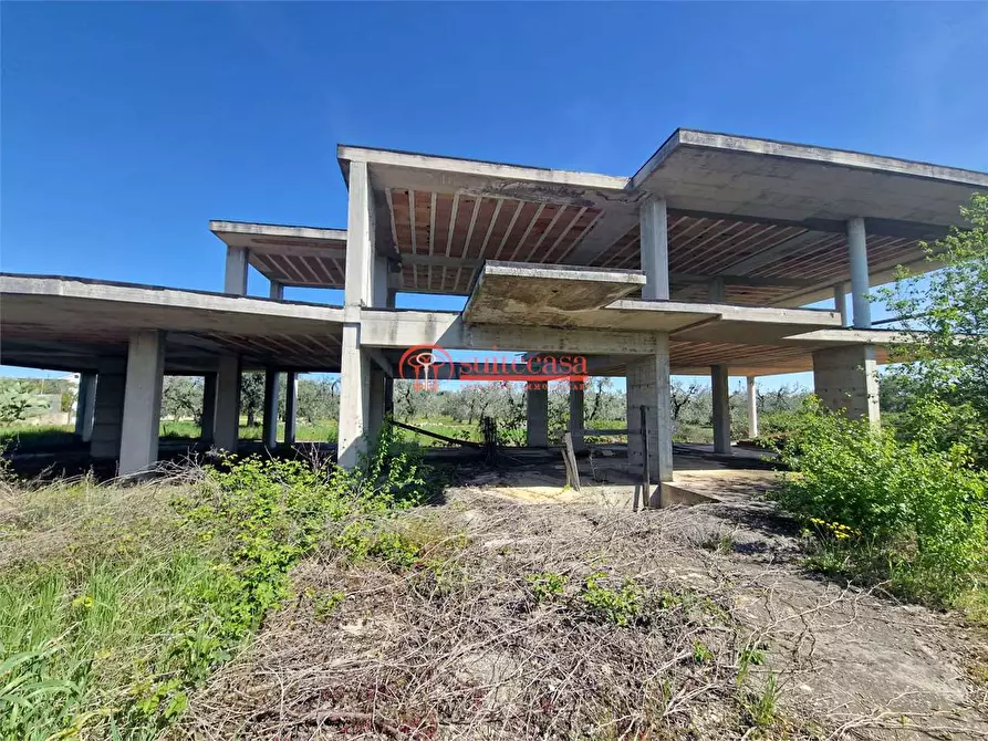 Immagine 3 di Villa in vendita  in via Annibale Maria di Francia a Trani