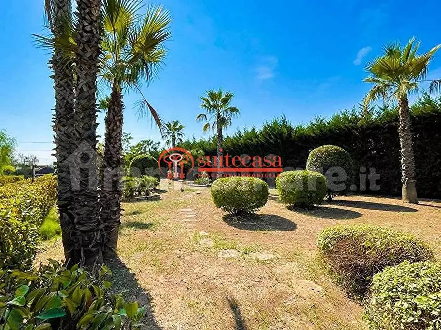 Immagine 14 di Villa in vendita  in via Santa Lucia a Trani