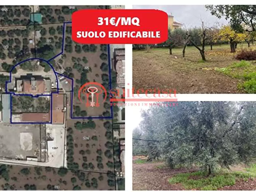 Immagine 1 di Terreno edificabile in vendita  in vicinale via Vecchia Trani-Corato a Trani