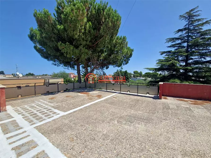 Immagine 15 di Villa in vendita  in via Duchessa D'andria a Trani