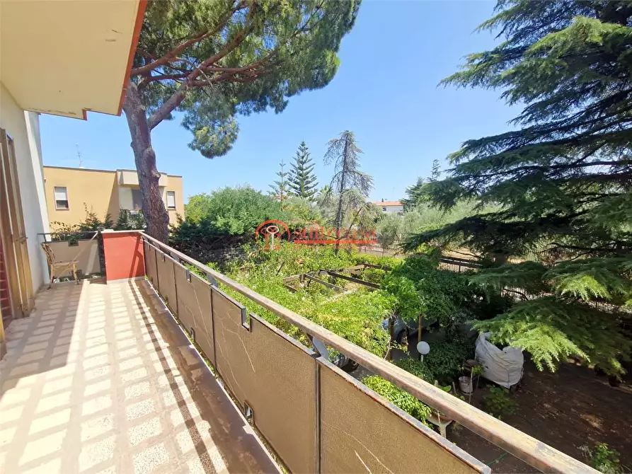 Immagine 19 di Villa in vendita  in via Duchessa D'andria a Trani