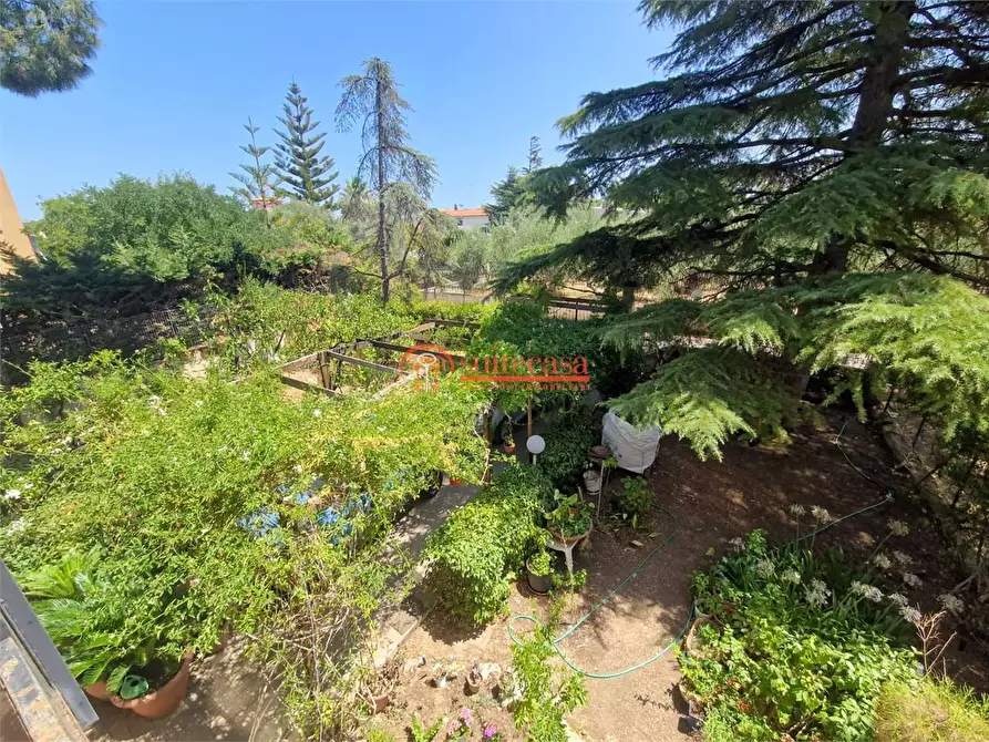 Immagine 21 di Villa in vendita  in via Duchessa D'andria a Trani