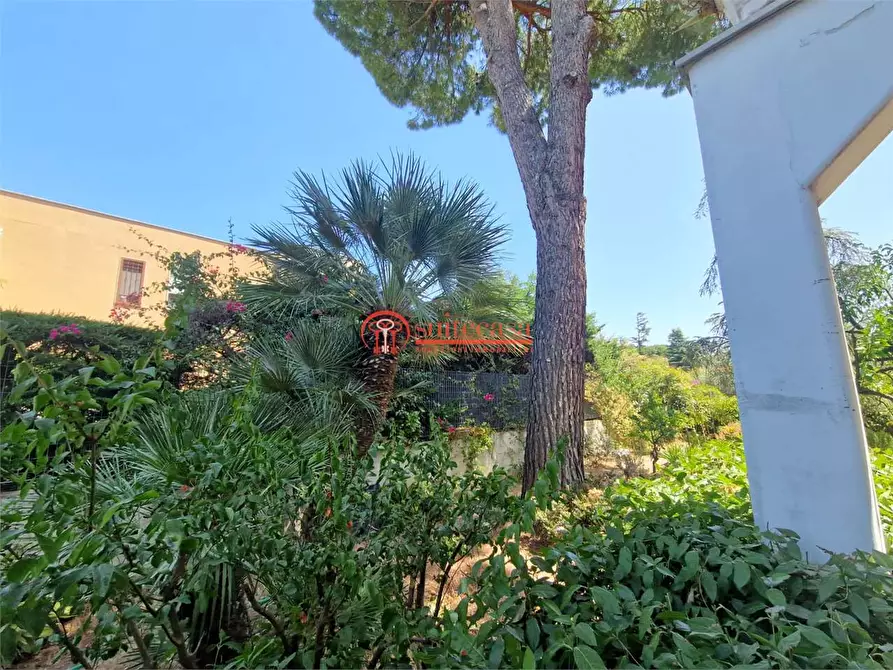 Immagine 22 di Villa in vendita  in via Duchessa D'andria a Trani