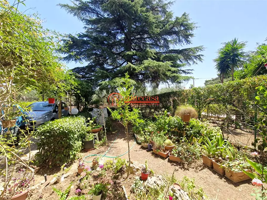 Immagine 23 di Villa in vendita  in via Duchessa D'andria a Trani