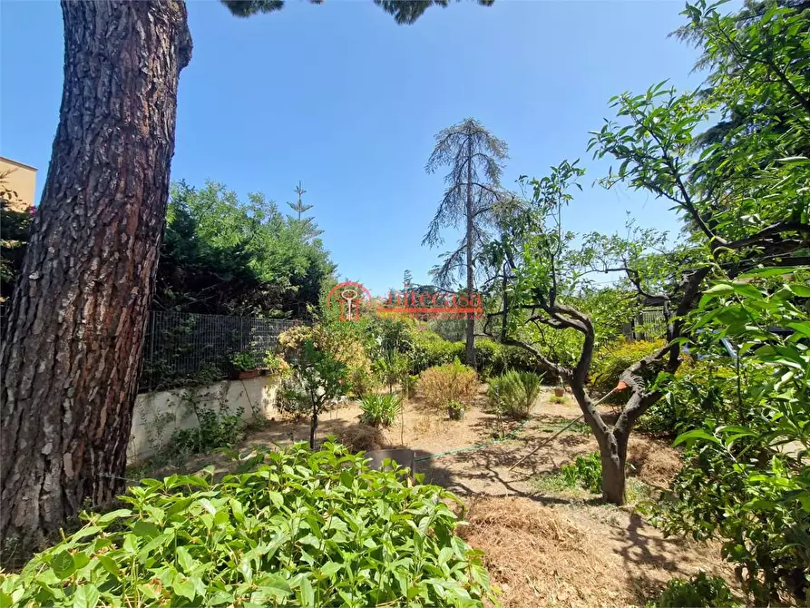 Immagine 24 di Villa in vendita  in via Duchessa D'andria a Trani