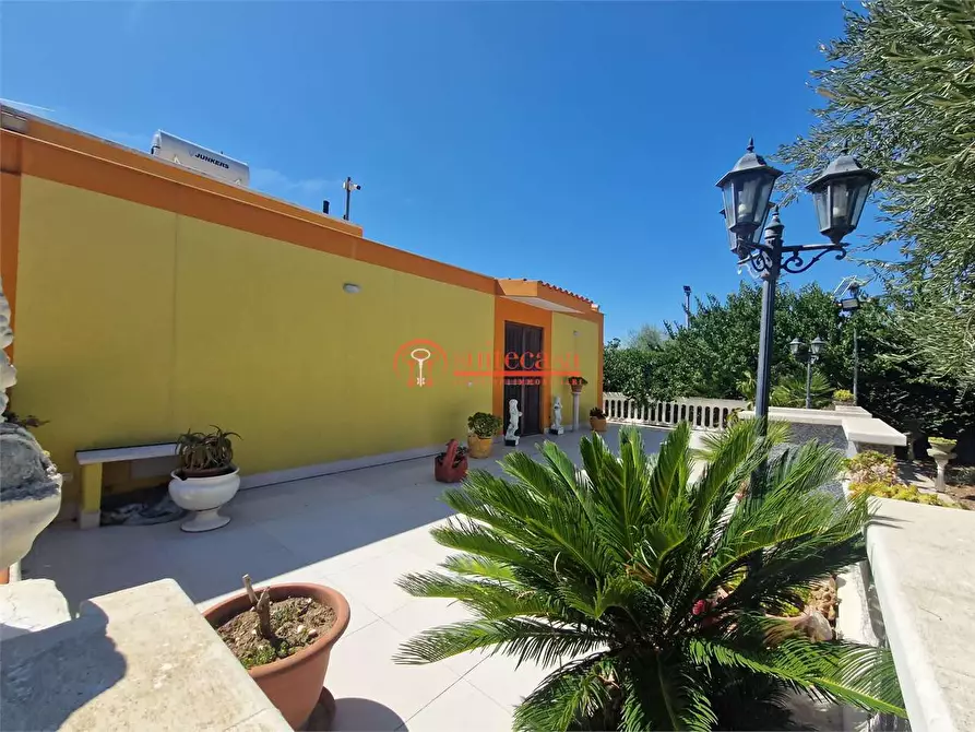 Immagine 4 di Villa in vendita  in contrada Schinosa a Trani