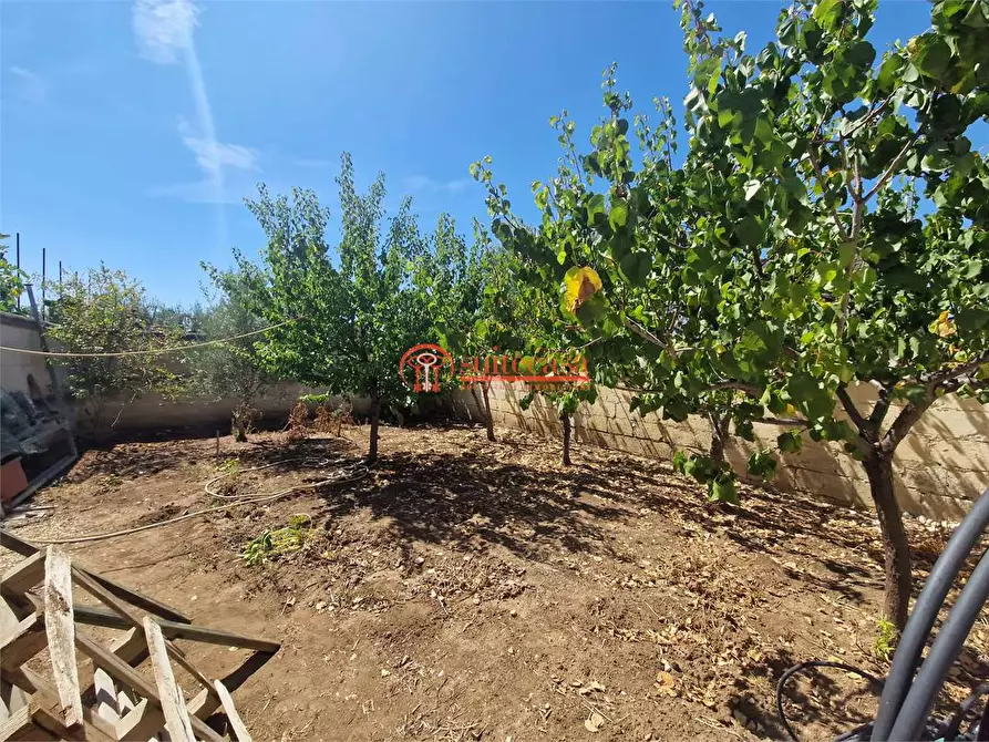 Immagine 23 di Villa in vendita  in contrada Schinosa a Trani