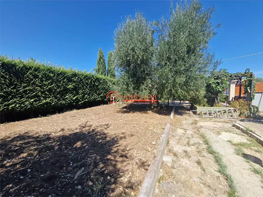 Immagine 24 di Villa in vendita  in contrada Schinosa a Trani