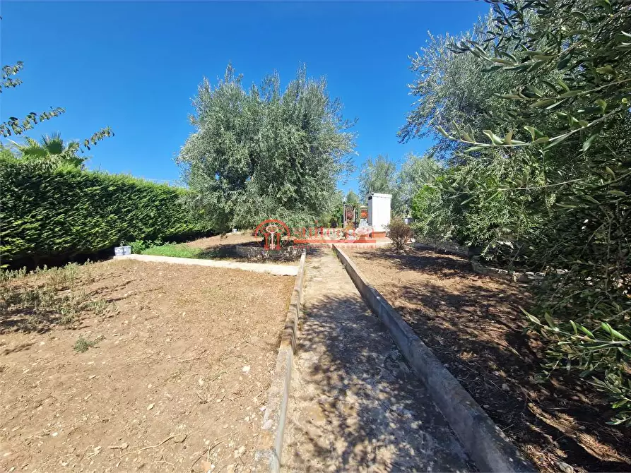 Immagine 25 di Villa in vendita  in contrada Schinosa a Trani