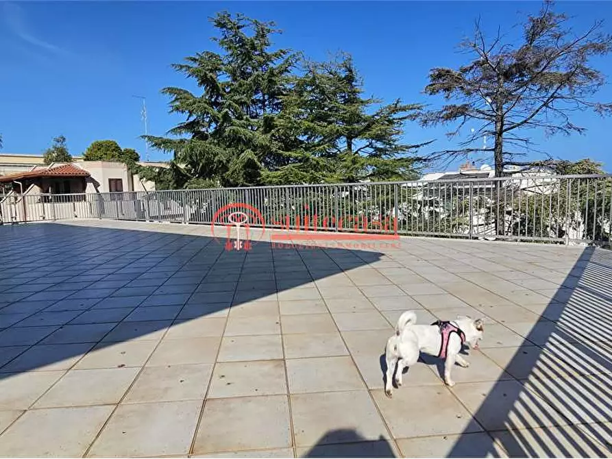 Immagine 21 di Appartamento in affitto  in via malcangi a Trani
