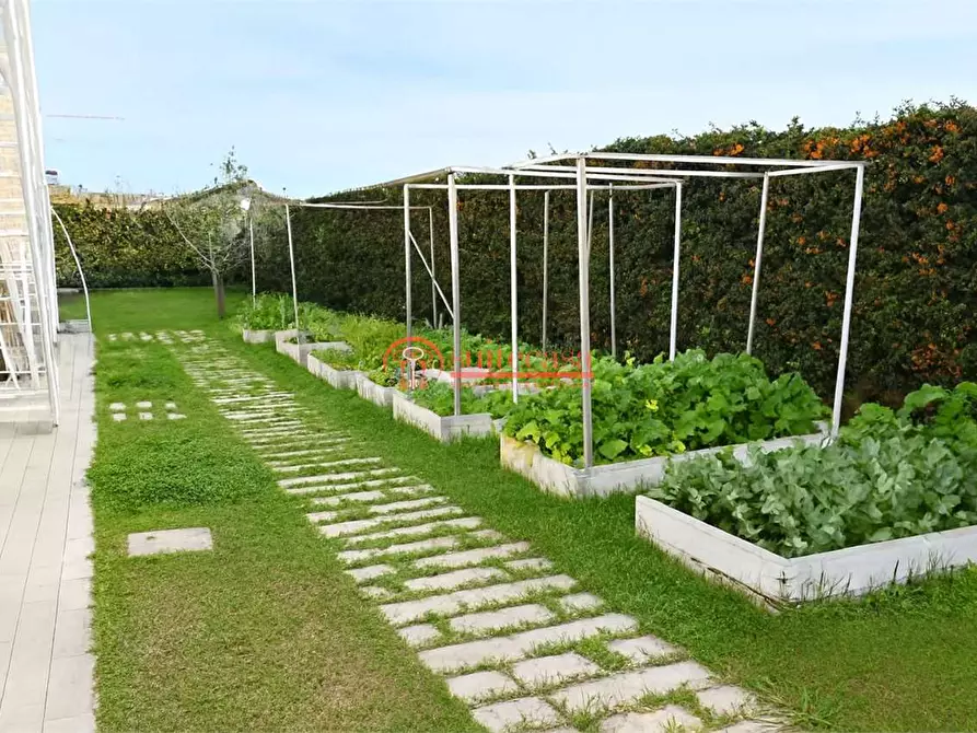 Immagine 11 di Villa in vendita  in via Martiri di Palermo a Trani