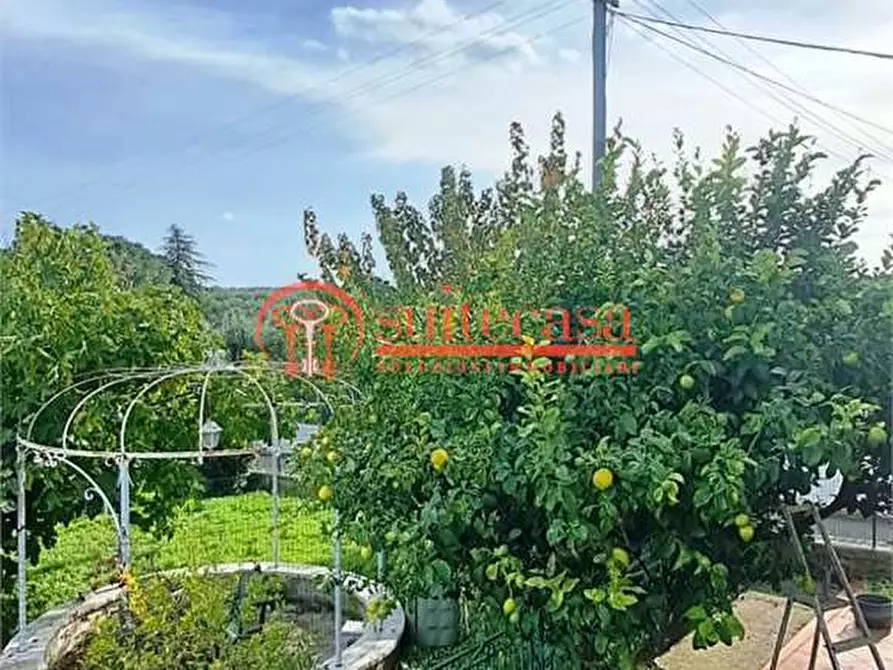 Immagine 8 di Villa in vendita  in Sp 238 a Trani