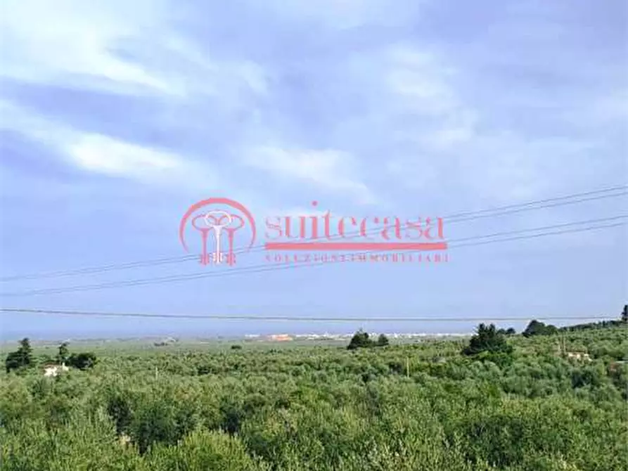 Immagine 9 di Villa in vendita  in Sp 238 a Trani