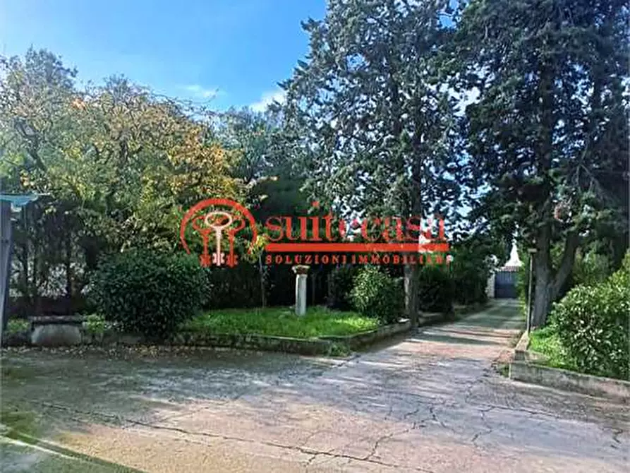 Immagine 10 di Villa in vendita  in Sp 238 a Trani