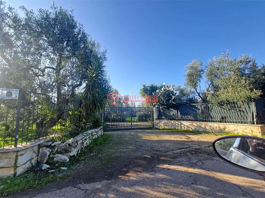 Immagine 11 di Villa in vendita  in I traversa Don Tito a Trani