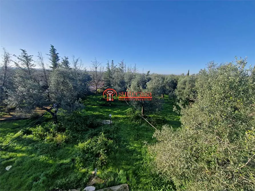 Immagine 15 di Villa in vendita  in I traversa Don Tito a Trani