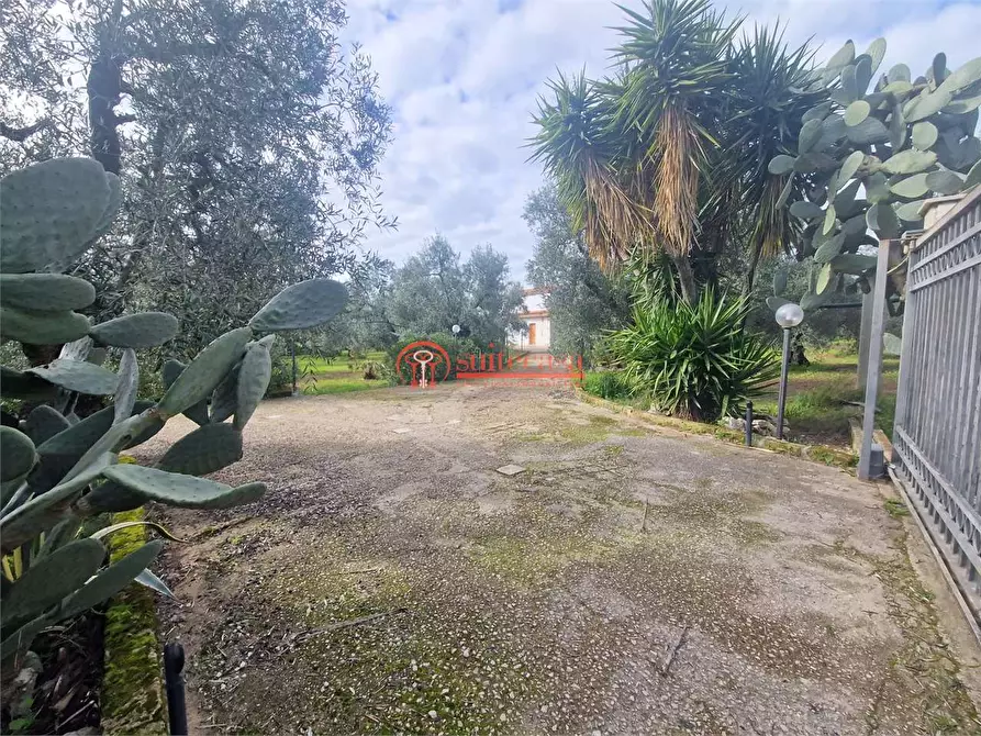 Immagine 19 di Villa in vendita  in I traversa Don Tito a Trani
