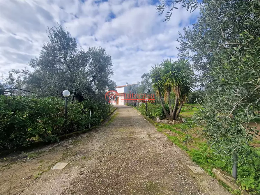 Immagine 1 di Villa in vendita  in I traversa Don Tito a Trani