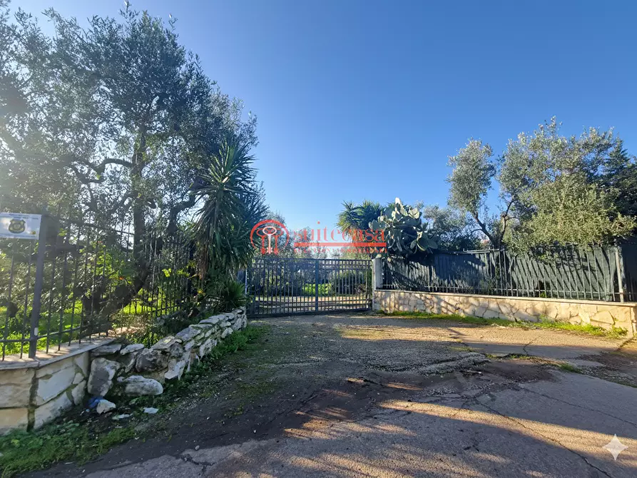 Immagine 21 di Villa in vendita  in I traversa Don Tito a Trani