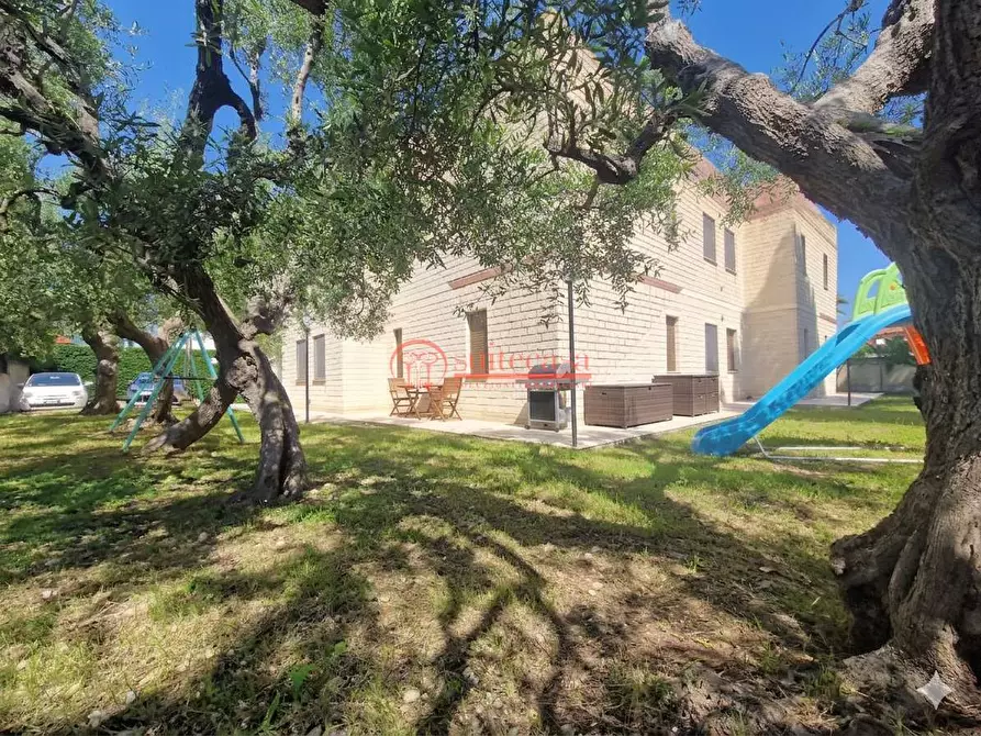 Immagine 5 di Appartamento in vendita  in via Nino Palumbo a Trani