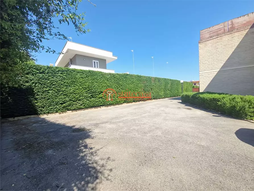 Immagine 6 di Appartamento in vendita  in via Nino Palumbo a Trani