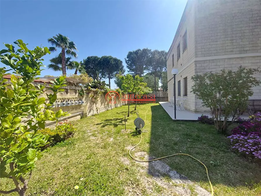 Immagine 21 di Appartamento in vendita  in via Nino Palumbo a Trani