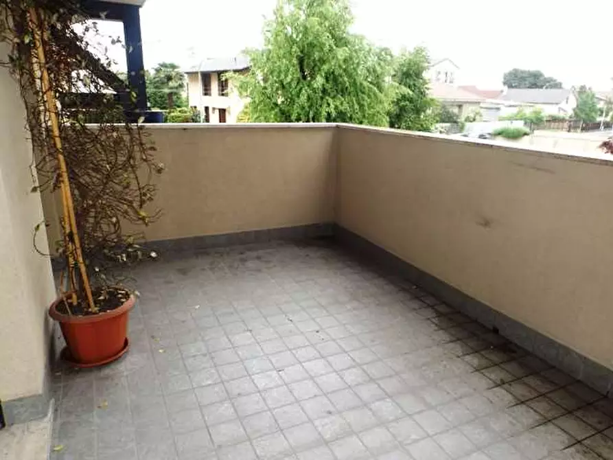 Immagine 10 di Trilocale in affitto  in Viale Sabotino a Legnano