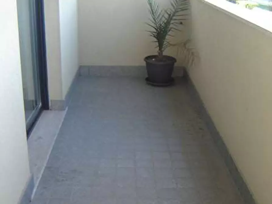 Immagine 12 di Trilocale in affitto  in Viale Sabotino a Legnano