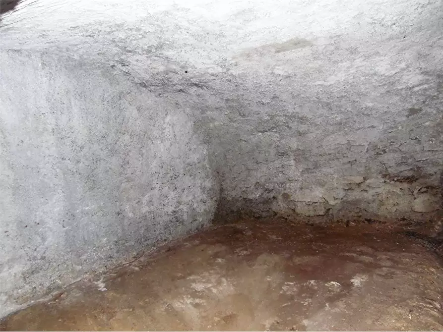 Immagine 16 di Rustico / casale in vendita  in Frazione Cappello a Garessio