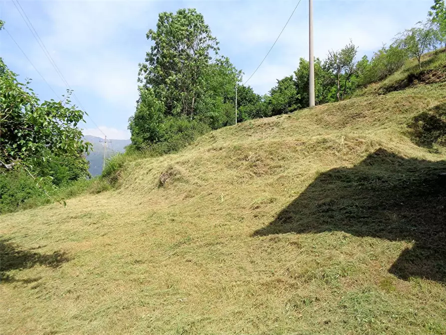 Immagine 39 di Rustico / casale in vendita  in Località Calcagnea a Ormea