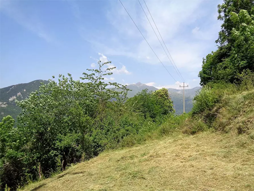 Immagine 33 di Casa indipendente in vendita  in Località Calcagnea a Ormea