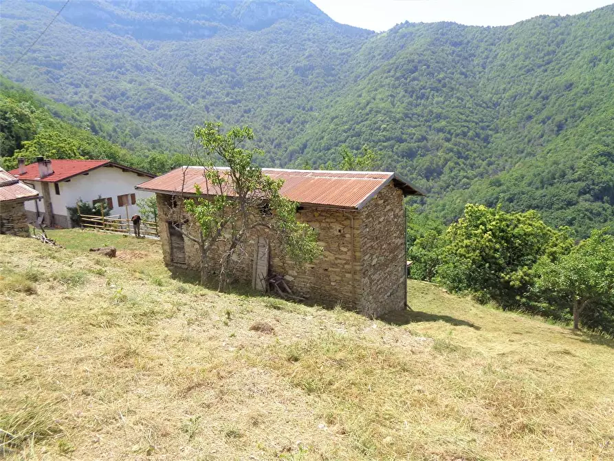 Immagine 2 di Casa indipendente in vendita  in Località Calcagnea a Ormea