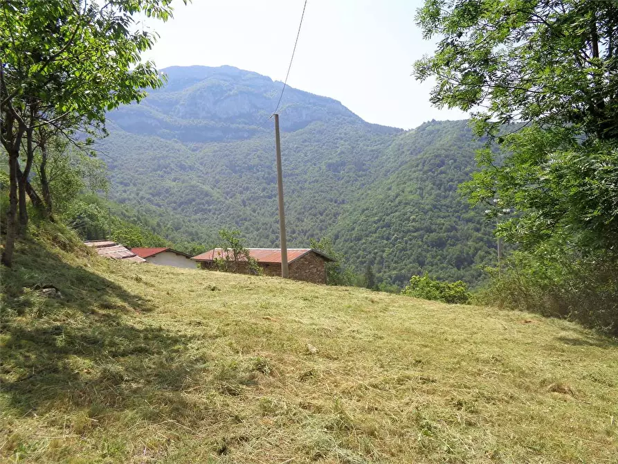 Immagine 37 di Rustico / casale in vendita  in Località Calcagnea a Ormea