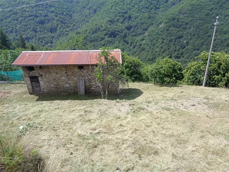 Immagine 3 di Casa indipendente in vendita  in Località Calcagnea a Ormea
