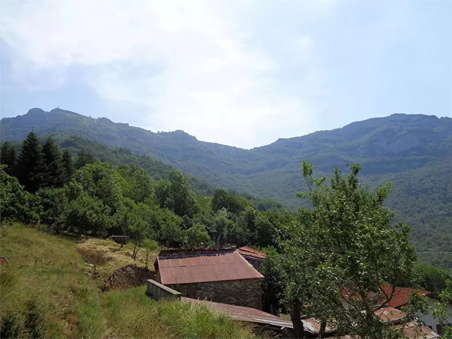 Immagine 7 di Casa indipendente in vendita  in Località Calcagnea a Ormea