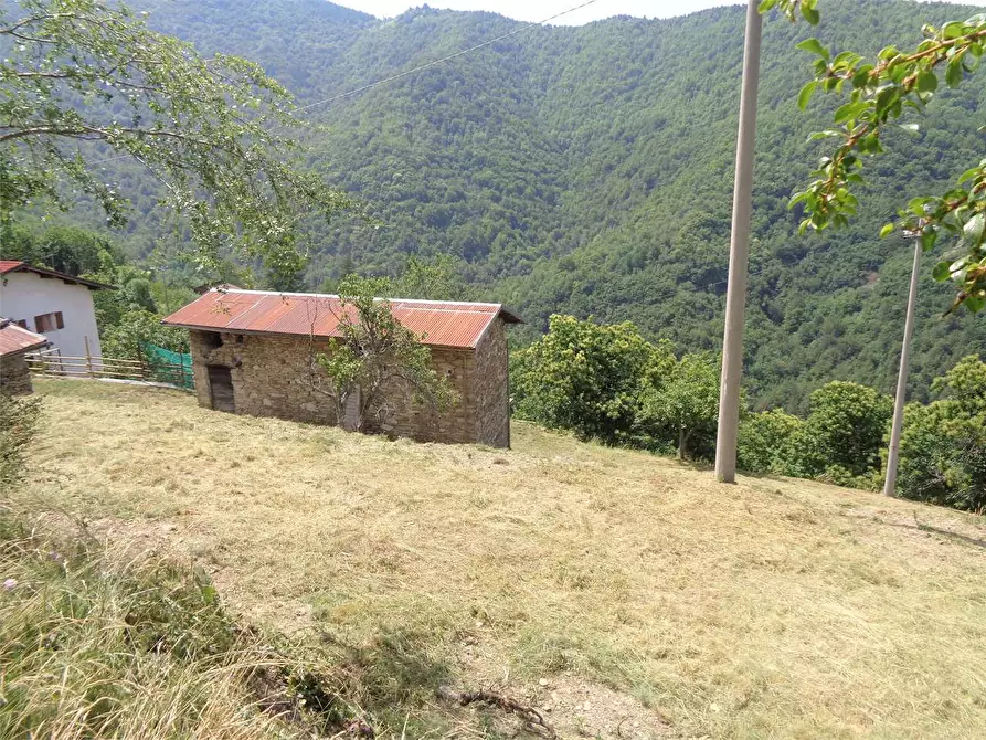 Immagine 4 di Casa indipendente in vendita  in Località Calcagnea a Ormea