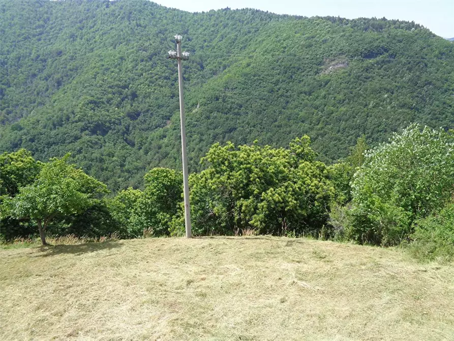 Immagine 34 di Casa indipendente in vendita  in Località Calcagnea a Ormea
