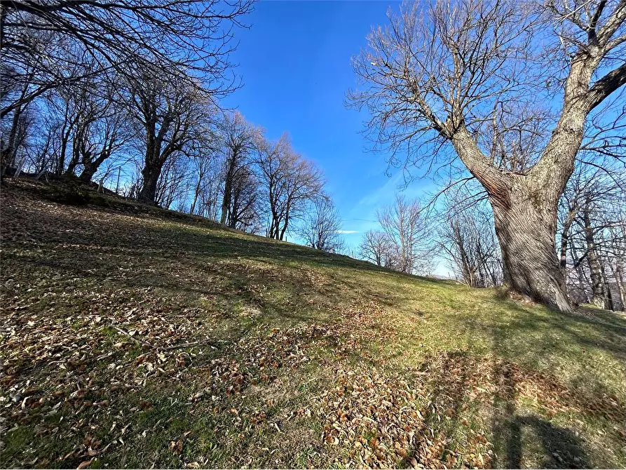 Immagine 21 di Rustico / casale in vendita  in Frazione Cappello a Garessio