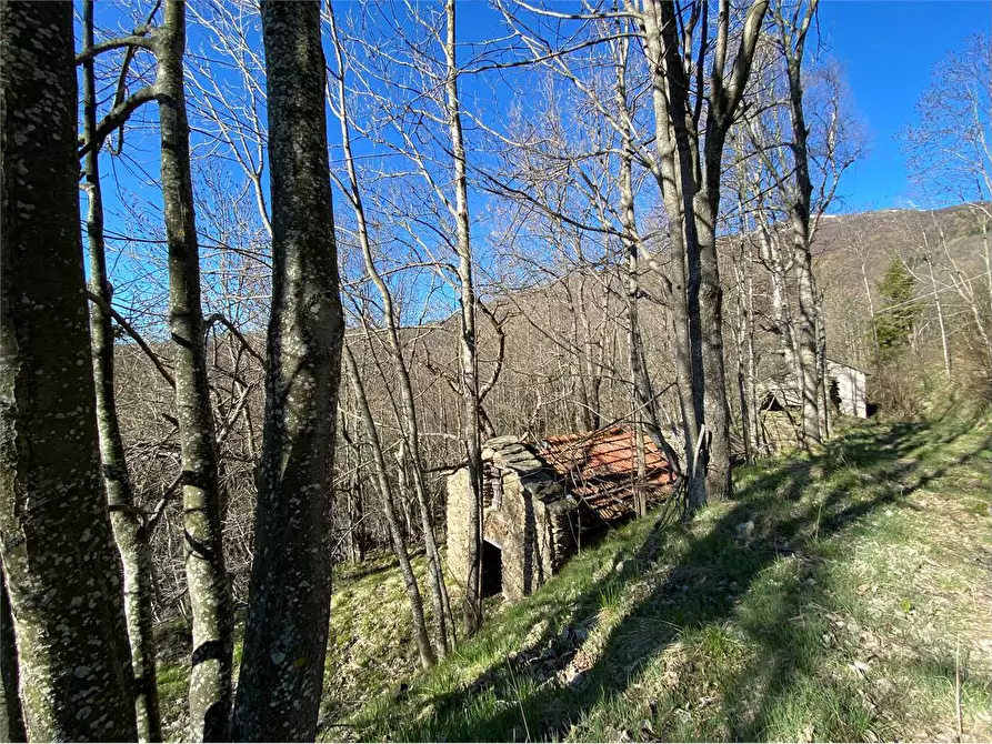 Immagine 33 di Casa indipendente in vendita  in Frazione Deversi a Garessio