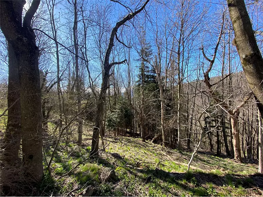 Immagine 30 di Casa indipendente in vendita  in Frazione Deversi a Garessio