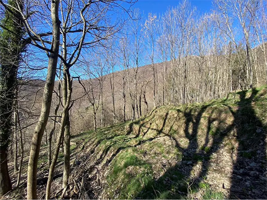 Immagine 31 di Casa indipendente in vendita  in Frazione Deversi a Garessio