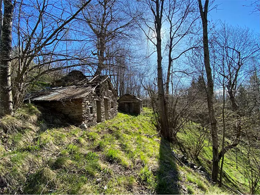 Immagine 23 di Casa indipendente in vendita  in Frazione Deversi a Garessio