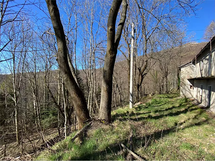 Immagine 32 di Casa indipendente in vendita  in Frazione Deversi a Garessio