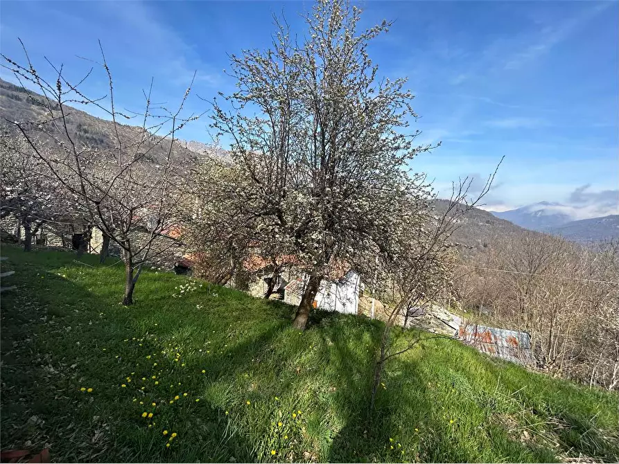Immagine 3 di Rustico / casale in vendita  in Frazione Chioraira a Ormea