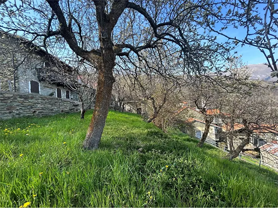 Immagine 5 di Rustico / casale in vendita  in Frazione Chioraira a Ormea