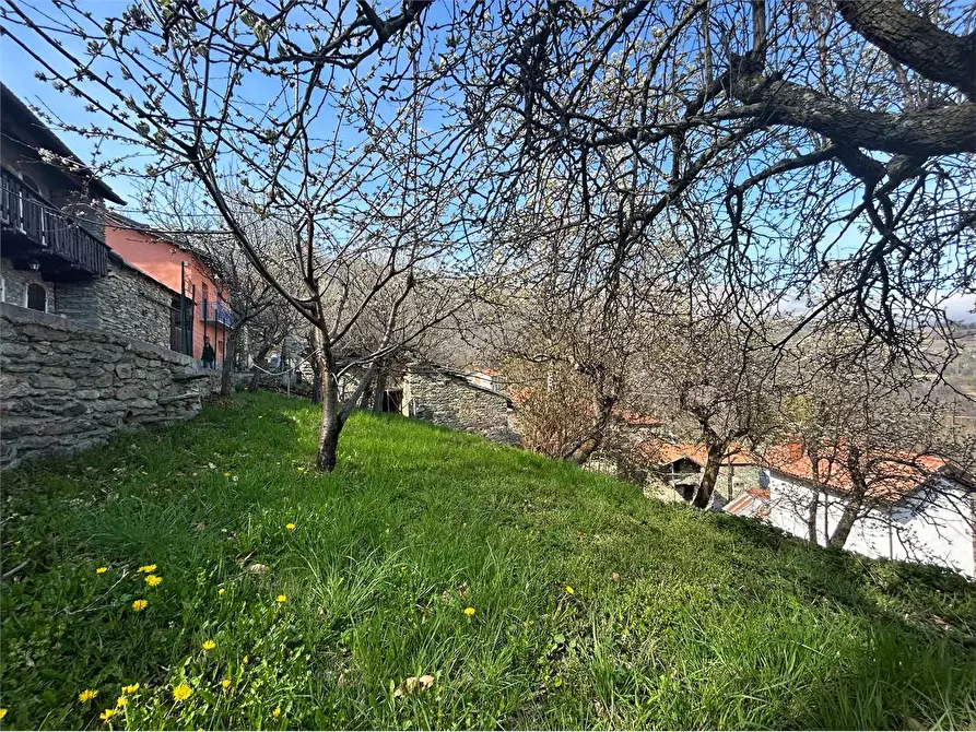 Immagine 2 di Rustico / casale in vendita  in Frazione Chioraira a Ormea