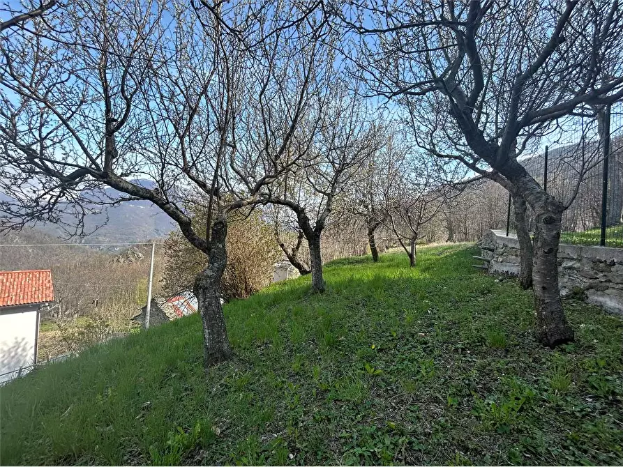 Immagine 4 di Rustico / casale in vendita  in Frazione Chioraira a Ormea