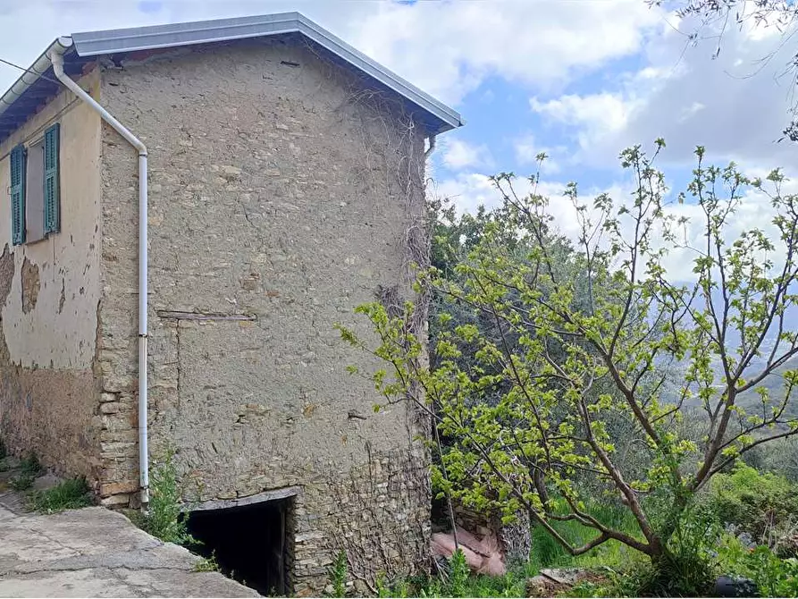 Immagine 1 di Casa indipendente in vendita  in Ville San Sebastiano a Borgomaro