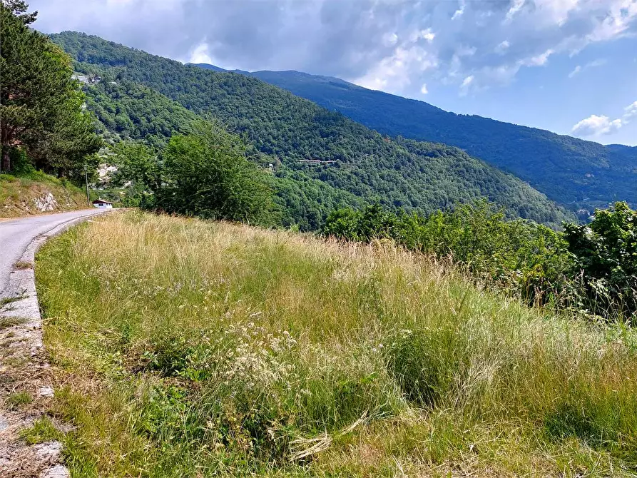 Immagine 1 di Terreno agricolo in vendita  in Via Castello a Ormea